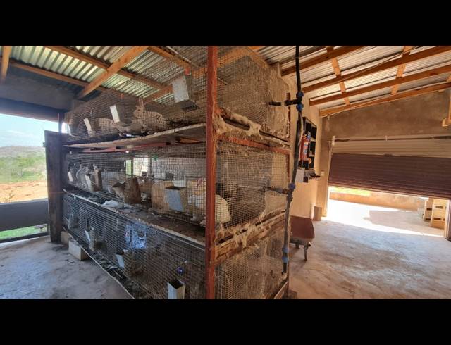 3.20HA FARM TO LET IN WHITE RIVER AH